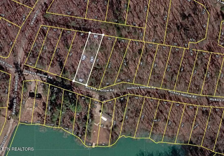 Property Photo:  0.22 Ac Hickory Hollow Rd  TN 38572 