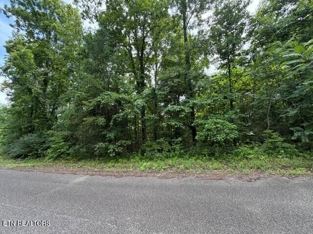 Property Photo:  Saddleridge Dr. Drive  TN 37870 