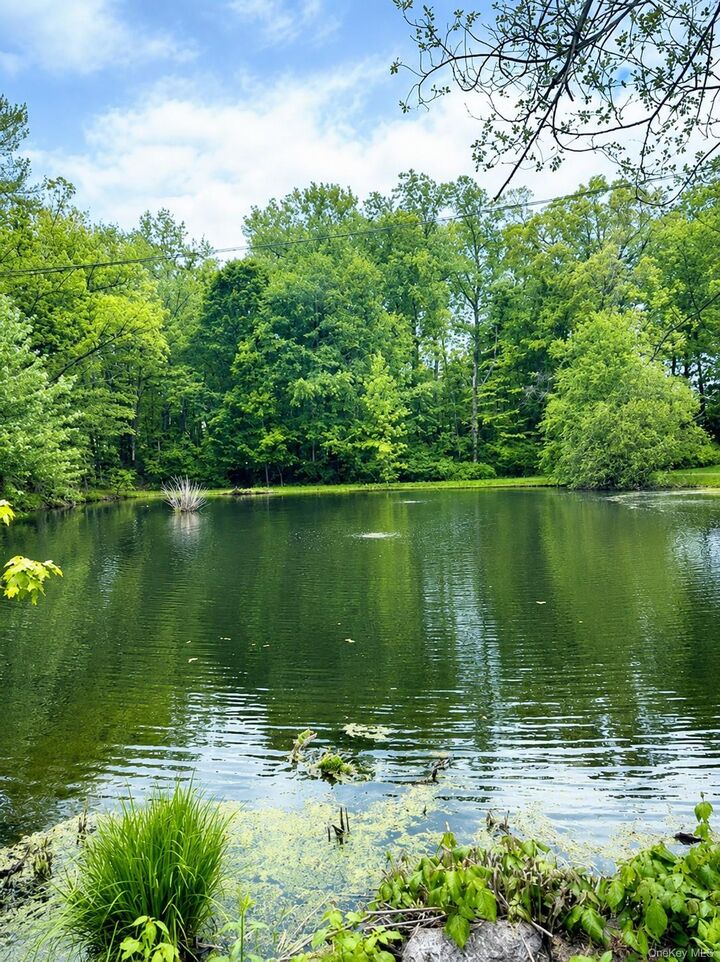 Property Photo:  82 Shingle House Road  NY 10546 
