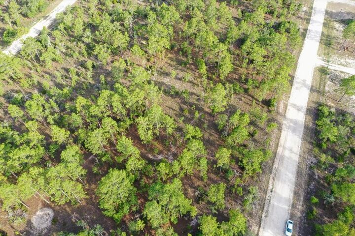 Property Photo: 0000 NE 131 Lot 8 Terrace FL 32696