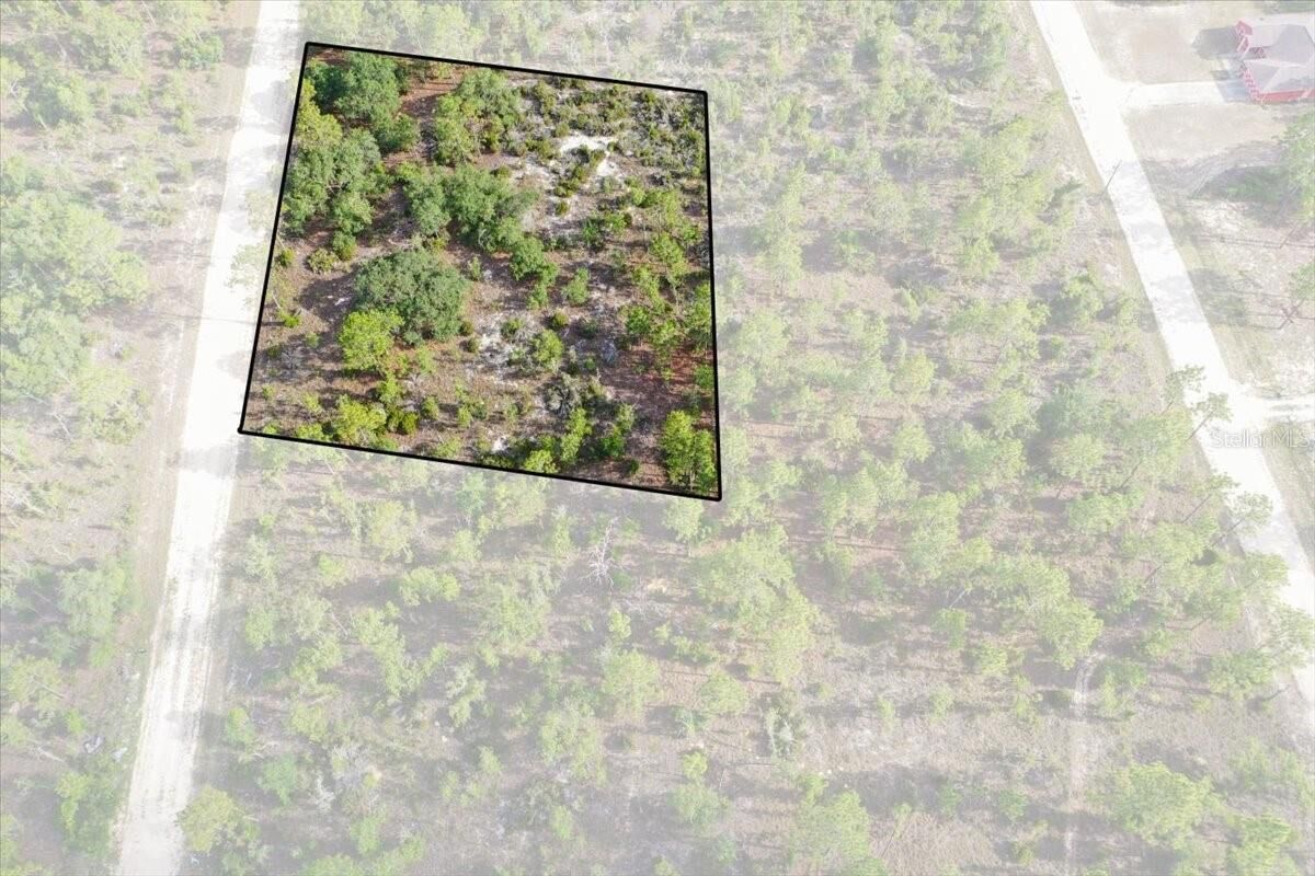 Property Photo: 0000 NE 132 Terrace Lot 4 Terrace FL 32696
