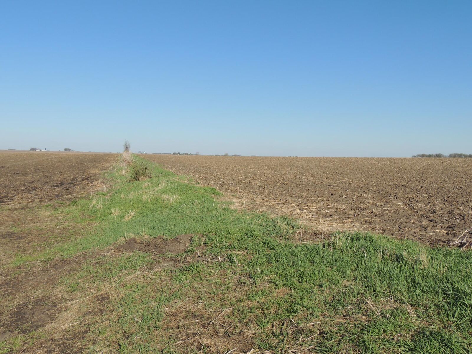 Property Photo: Tbd 740th Avenue MN 55936