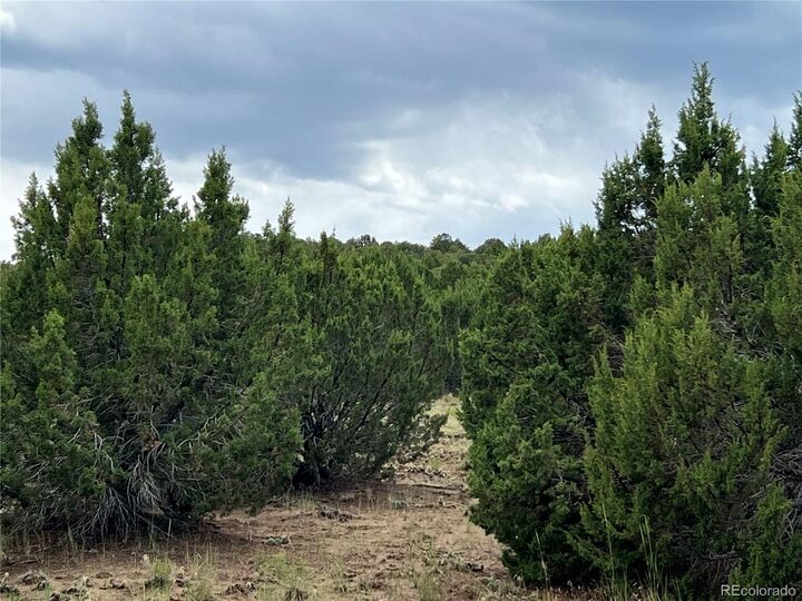 Property Photo:  Sunrise Road  CO 81089 