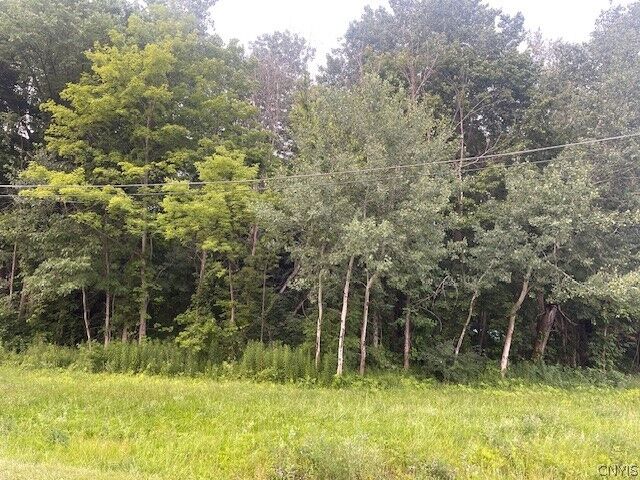 Property Photo:  Chase Road  NY 13069 