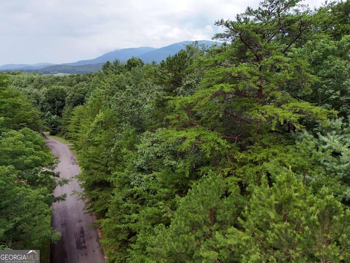 Property Photo:  Lot 5 East Ridge Lane  GA 30540 