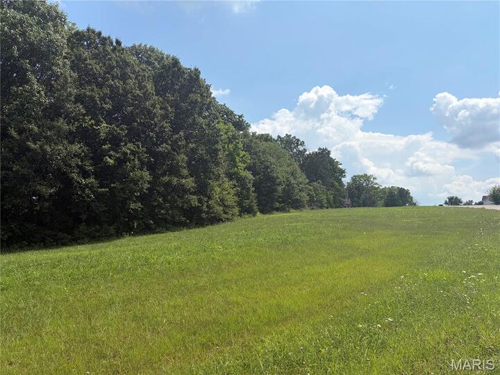Property Photo: 100 Summers Drive MO 63349