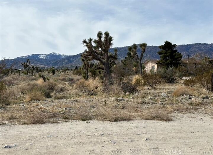 Property Photo: 0 Mono Road CA 92372