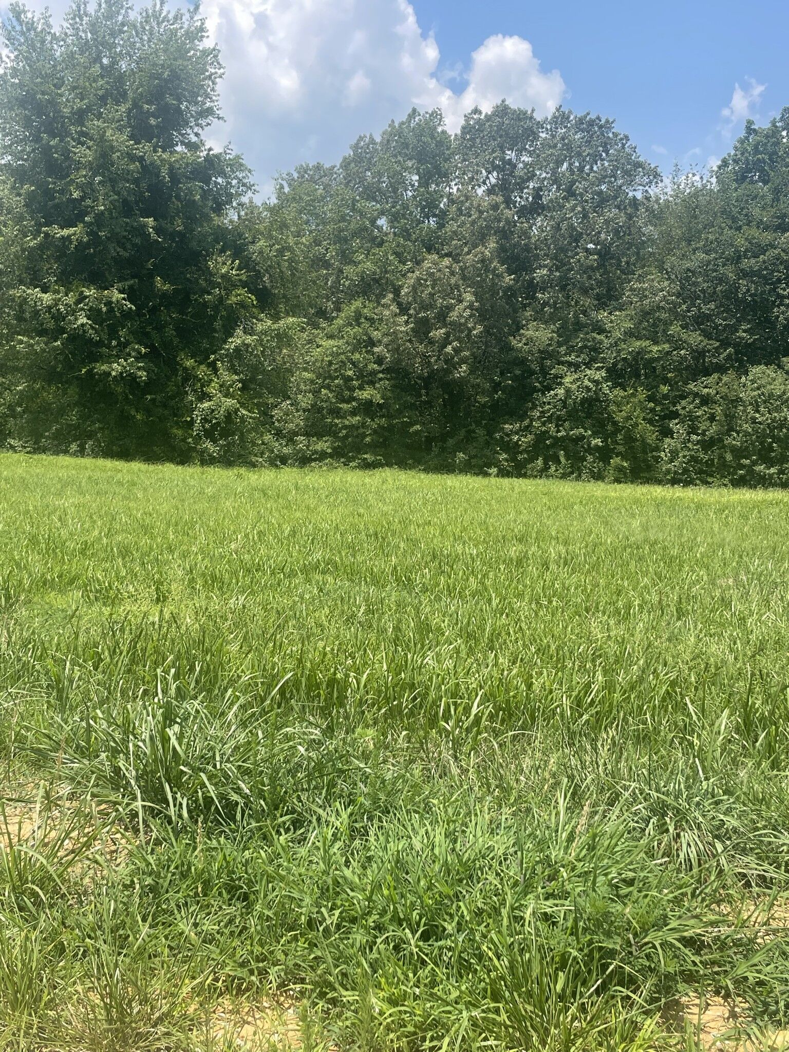 Property Photo: 0 Summer Lake TN 37398