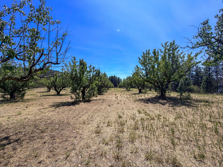 Property Photo: 1240 Peachcrest Rd WA 99141