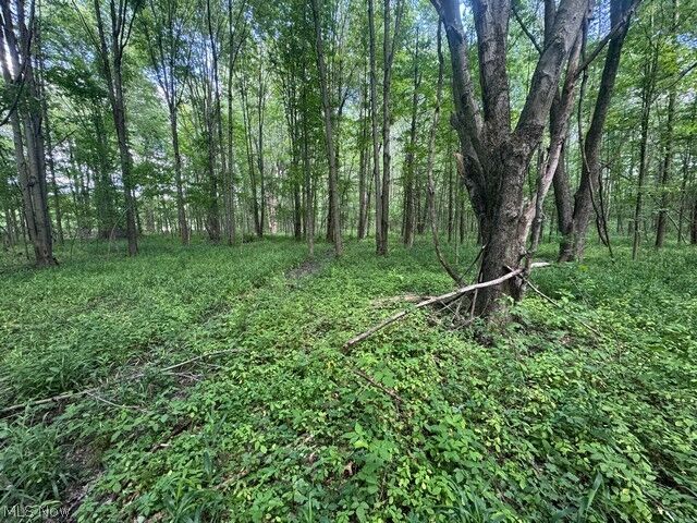 Property Photo:  Shafer Road  OH 44481 