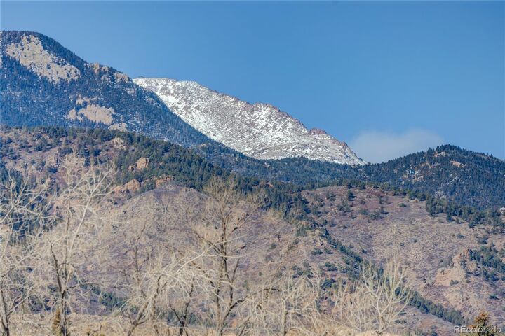 Property Photo: 478 Gray Horse Alley CO 80905