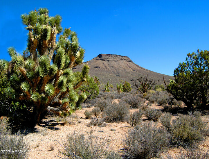 Property Photo:  5838 E Diamond Bar Road -  AZ 86444 