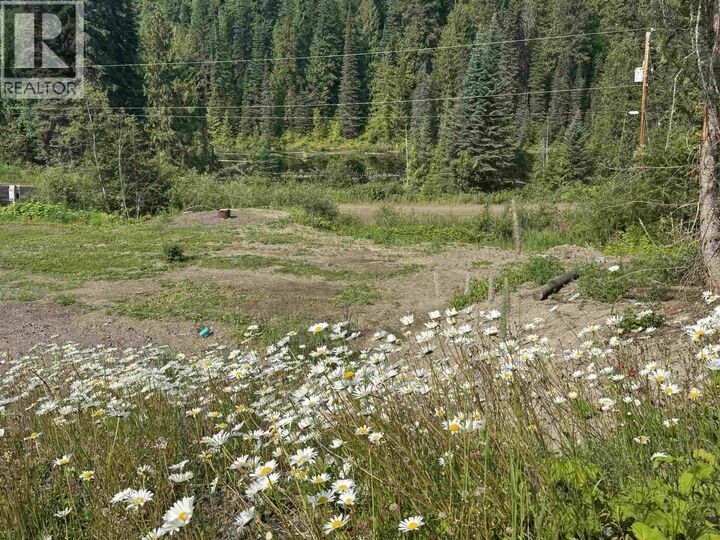 Property Photo:  6390 Keithley Creek Road  BC V0L 1N0 