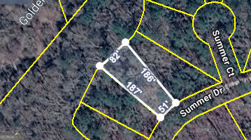 Property Photo:  0 Summer Drive  GA 30220 
