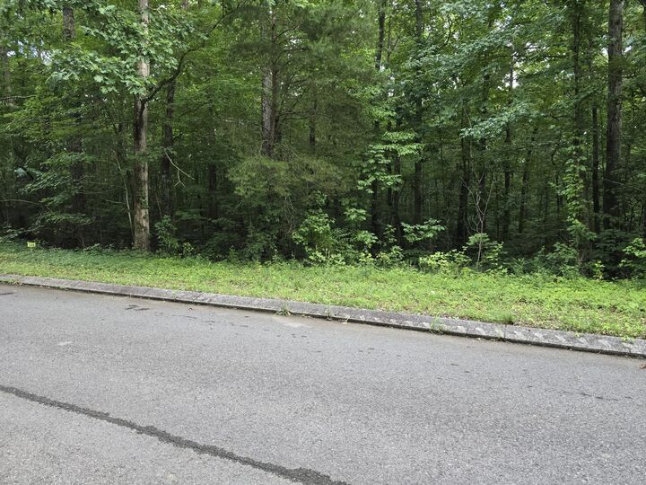 Property Photo:  Lot 144 Lower Brow Road  TN 37327 