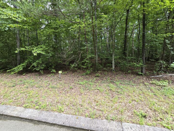 Property Photo:  Lot 136 Lower Brow Road  TN 37327 