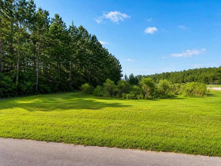 Property Photo: 0 Fm 357 TX 77351