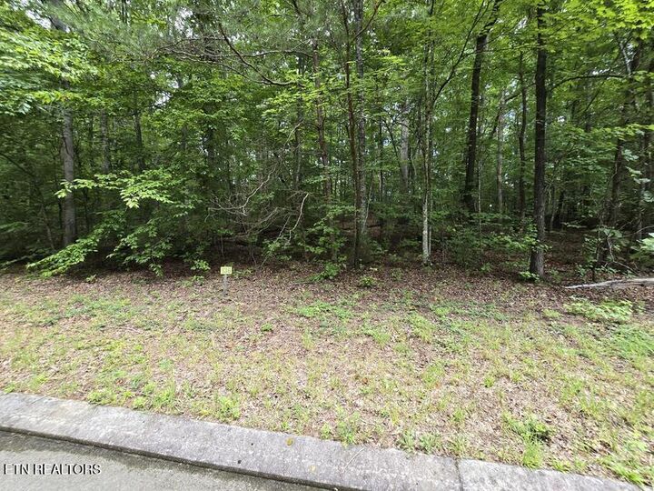 Property Photo:  Lot 136 Lower Brow Rd  TN 37327 