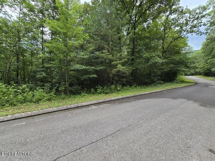 Property Photo:  Lot 135 Lower Brow Rd  TN 37327 