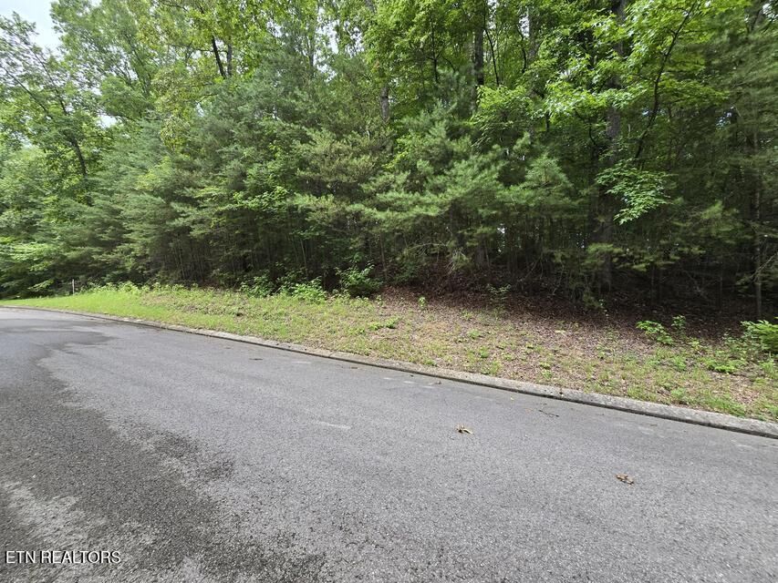 Property Photo:  Lot 134 Lower Brow Rd  TN 37327 