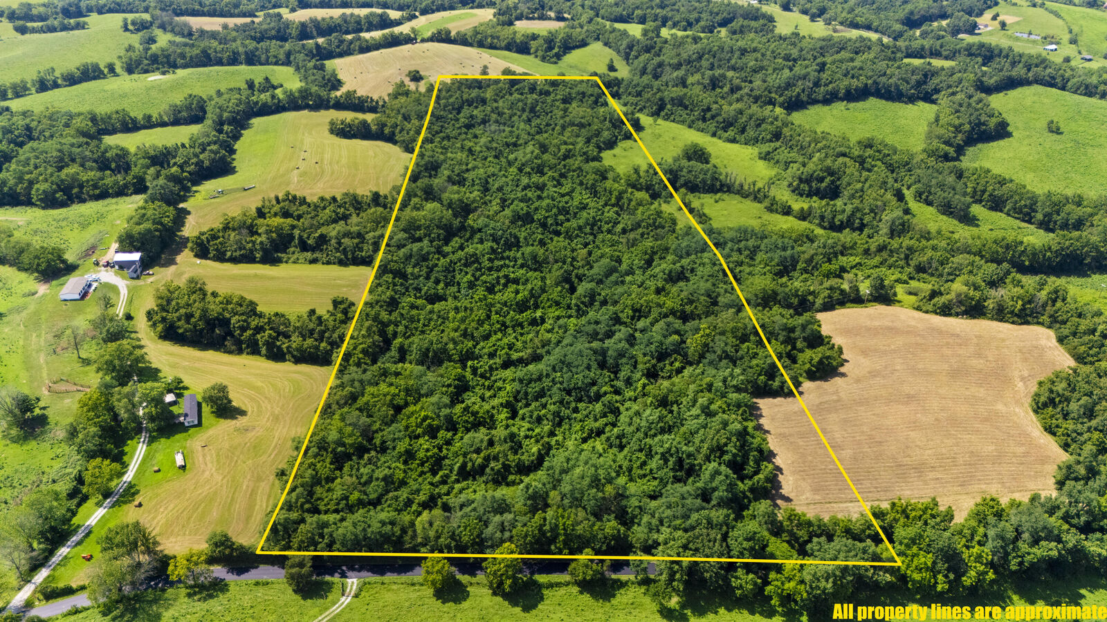 Property Photo:  223 Plum Lick Road  KY 40361 