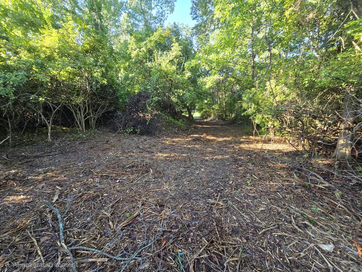 Property Photo:  .45 Lot 14 Burning Tree Lane  MI 49201 