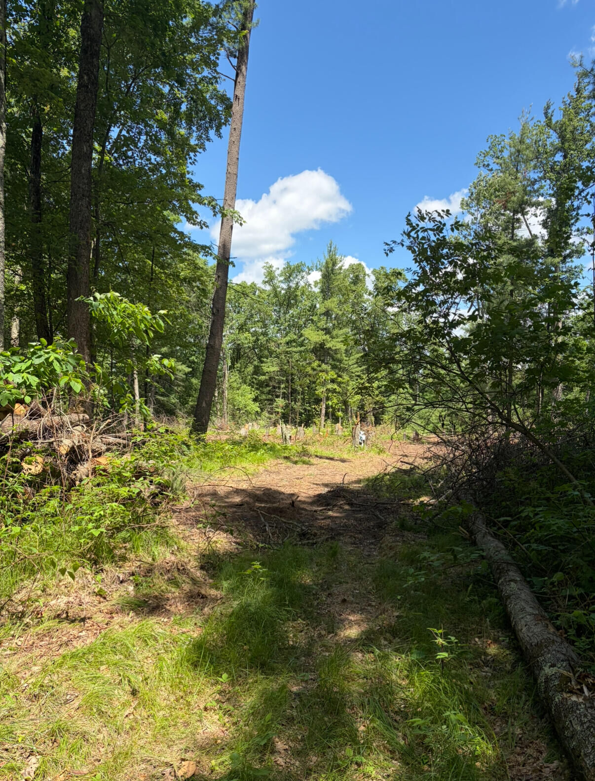 Property Photo: 8503 Cottonwood Avenue MI 49329