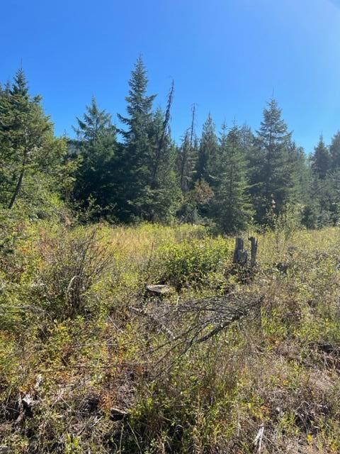 Property Photo: 3xx Lot 12 N Leclerc Rd WA 99139