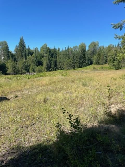 Property Photo: 3xx Lot 13 N Leclerc Rd WA 99139