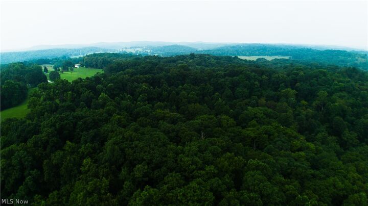Property Photo:  0 Carpenter Lane  WV 26184 