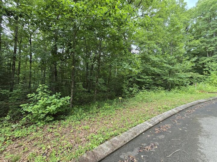 Property Photo: Lot 141 Lower Brow Road TN 37327