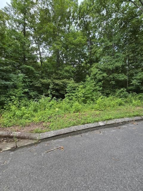 Property Photo:  Lot 142 Lower Brow Road  TN 37327 