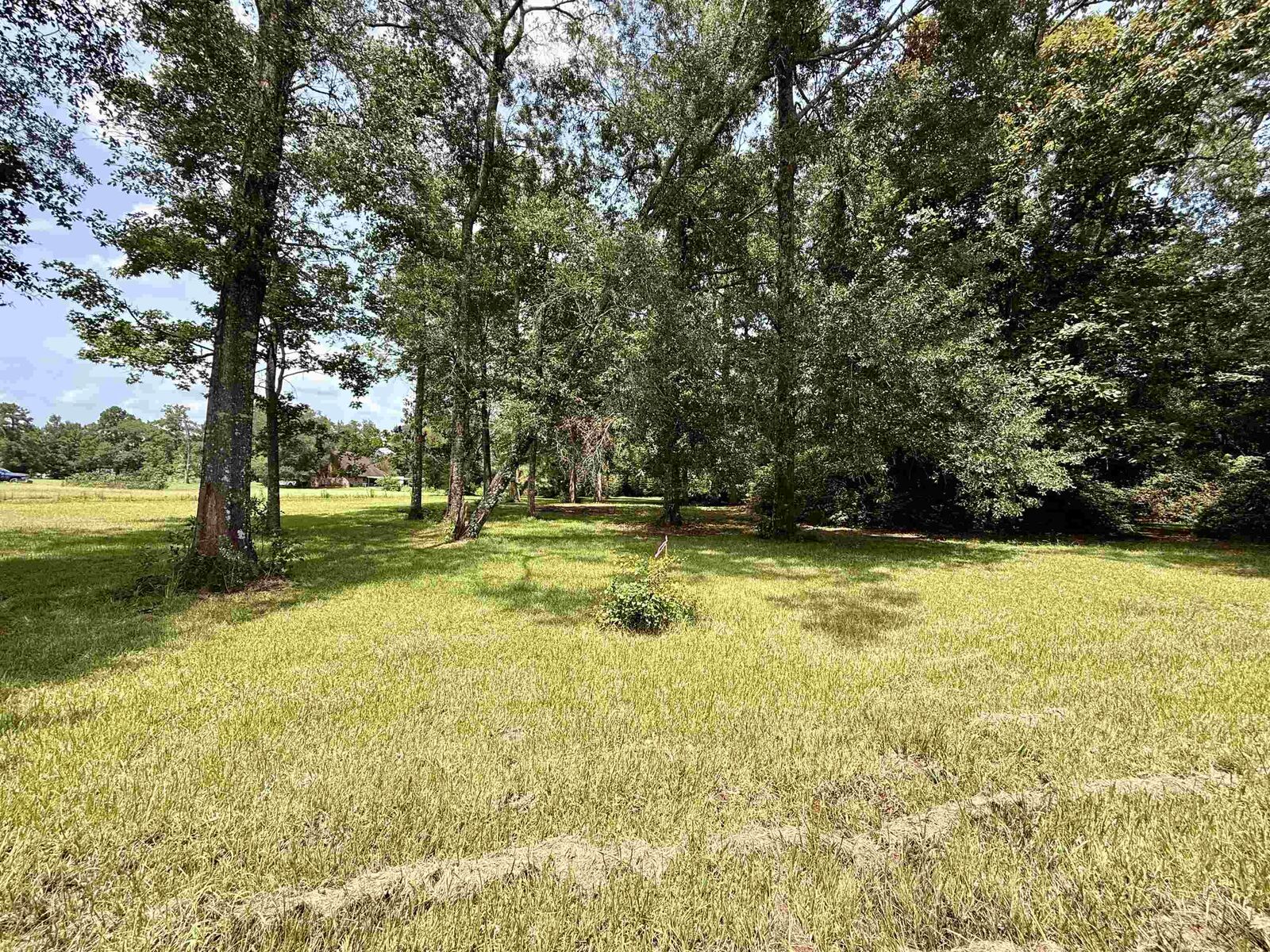 Property Photo: 00 Freeway Street TX 77662