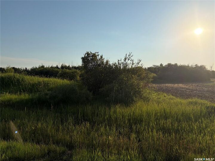 Property Photo:  412 & 424 Douglas Avenue  SK S3N 2X3 