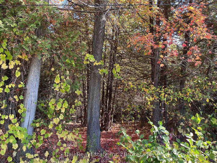 0 Koa Road — photo 1