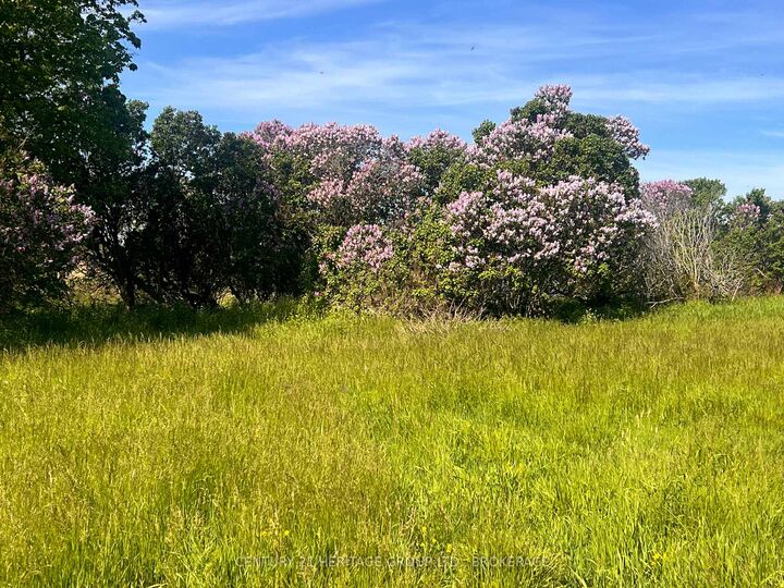 Lot 17 South Shore Road — photo 1
