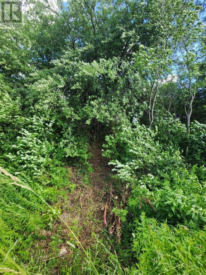 Property Photo:  Lot Highway 236  NS B0N 1P0 