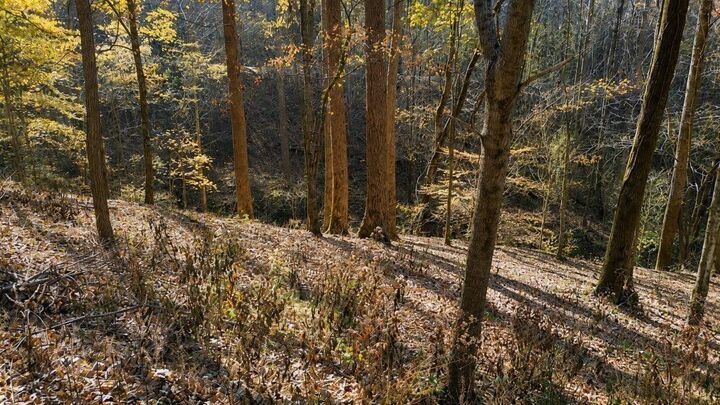 Property Photo: 0 Lake View Dr TN 37166