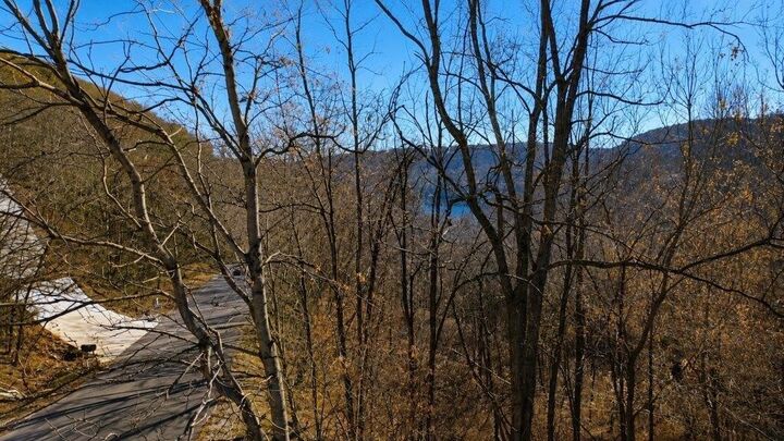 Property Photo: 0 Blackberry Ridge Way TN 37166