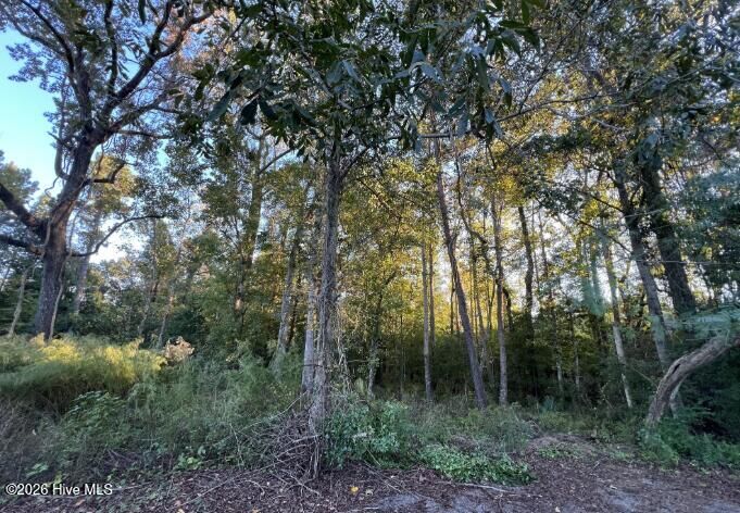 Property Photo:  640 23 Quinn Drive  NC 28411 