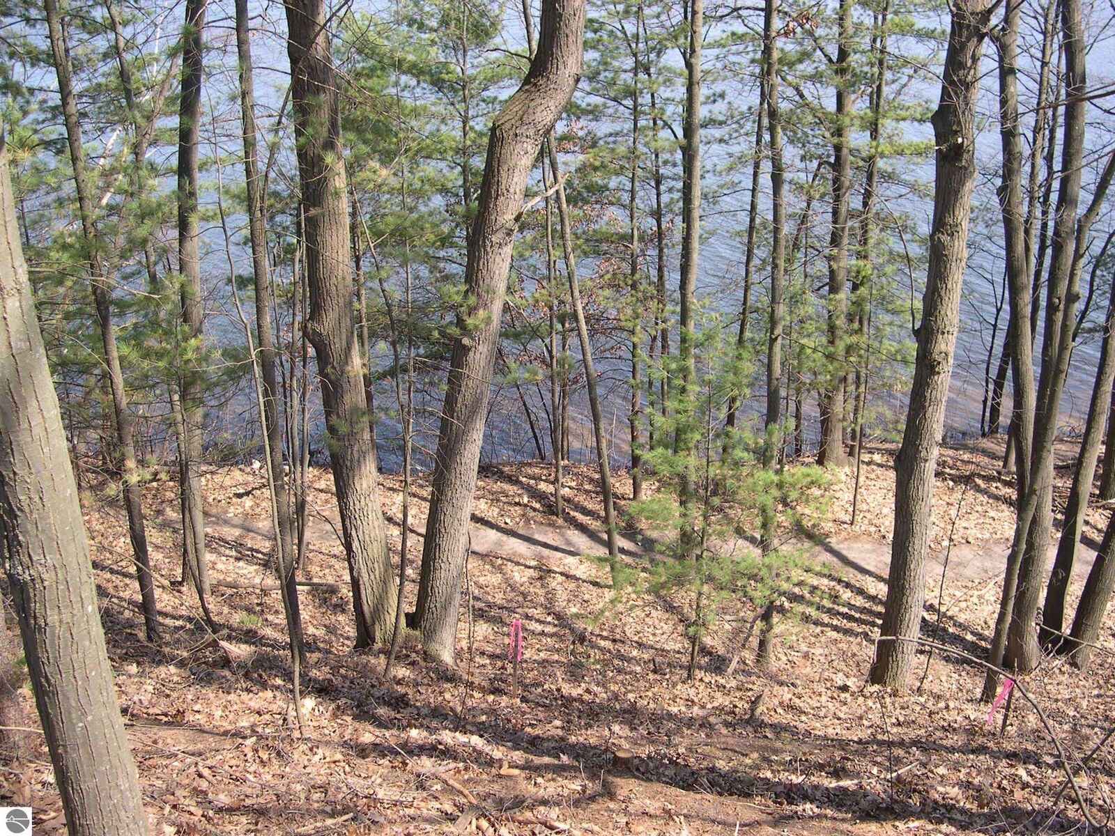 Property Photo: 1597 Edgewater Ridge MI 49684