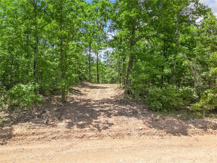 Property Photo: Tbd Morgan Cave Road AR 72601