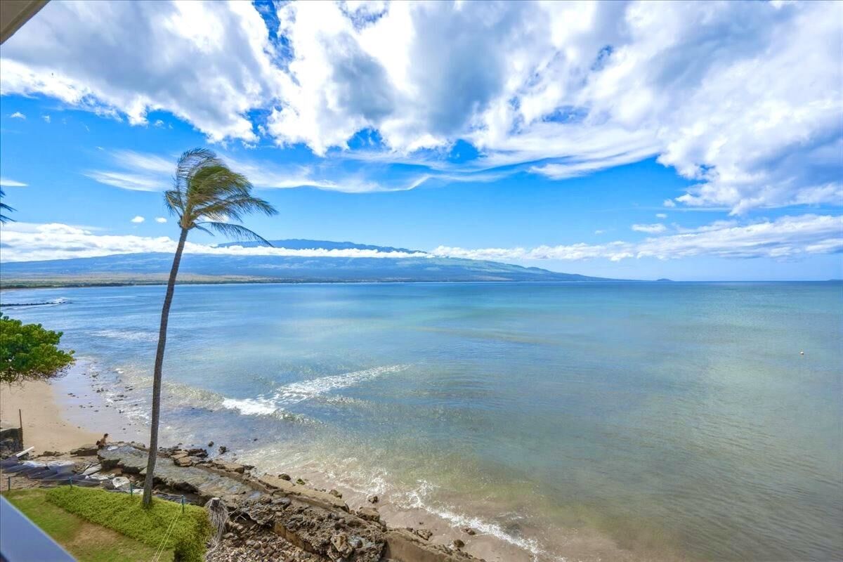 Property Photo: 250 Hauoli St 417 HI 96793