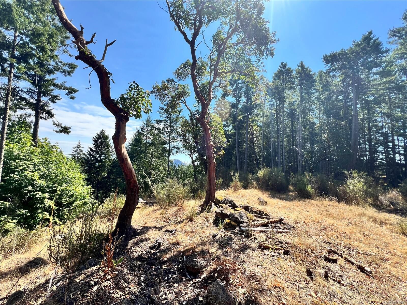 Property Photo: 131 Rainforest Rd BC V8K 1S4