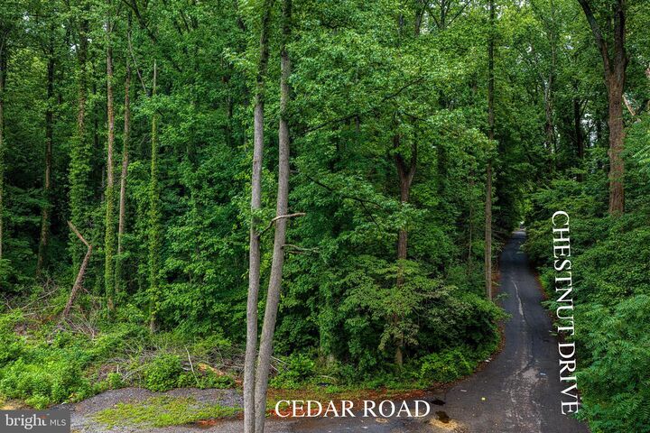 Property Photo:  13306 Chestnut Drive  MD 20720 