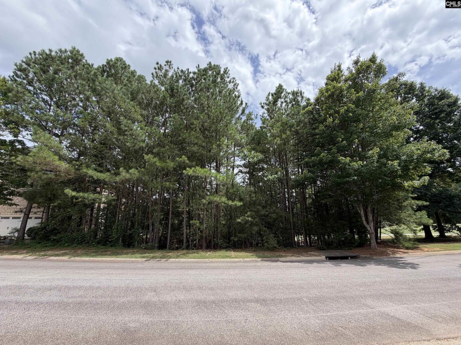 Property Photo:  122 Peppermint  SC 29016 