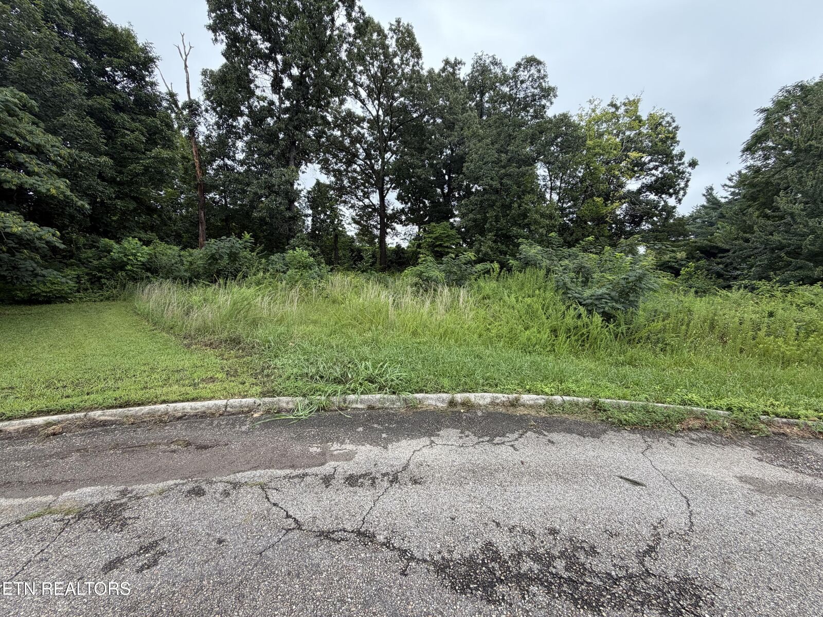 Property Photo:  4704 Tomache Drive  TN 37909 
