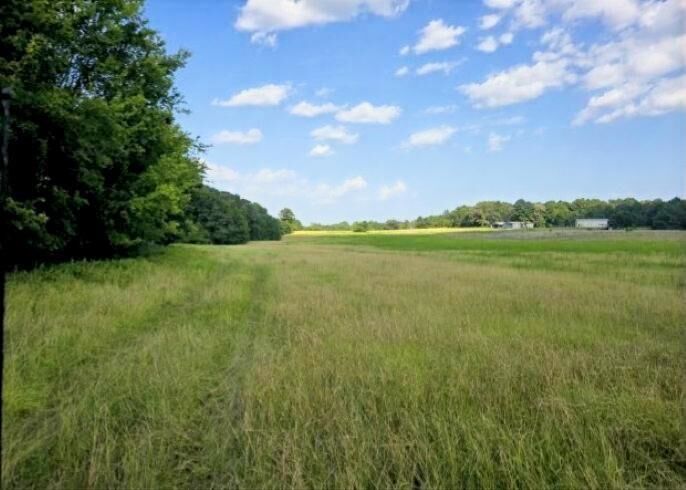 Property Photo: 39.10 Ac N Fm 2276 TX 75652