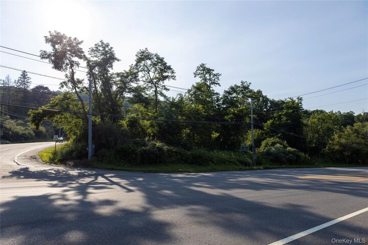 Property Photo:  Route 164  NY 12563 