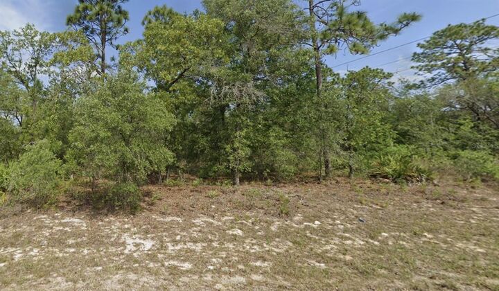 Property Photo:  6791 Darlington Drive  FL 34434 